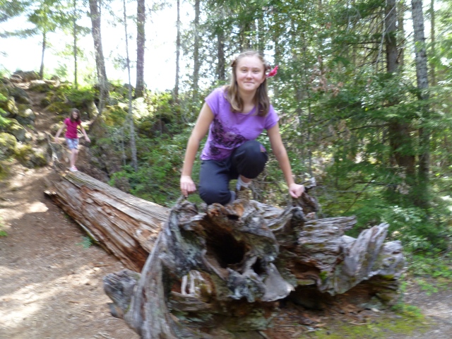 This fell tree sits just below the rocky ledge from which the previous picture was taken. That's my sister in the purple and her friend in the pink.